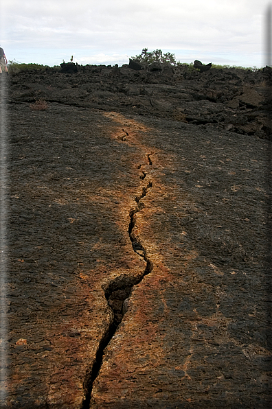 foto Isole Galapagos